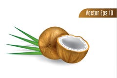 La noix de coco r?aliste o de brun du vecteur 3d a isol? le fond illustration stock La noix de coco r?aliste o de brun du vecteur 3d a isol? le fond illustration stock