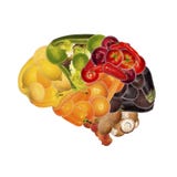 La nutrición sana es buena para el cerebro La nutrición sana es buena para el cerebro