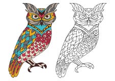 La page imprimable de livre de coloriage pour des adultes - la conception de hibou, activité à des enfants plus âgés et détendent Photos libres de droits La page imprimable de livre de coloriage pour des adultes - la conception de hibou, activité à des enfants plus âgés et détendent Photos libres de droits
