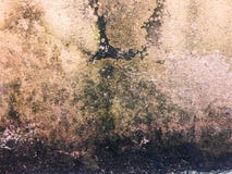 La pared sucia, las paredes es sucia, llena de manchas verdes y negras fotografía de archivo libre de regalías La pared sucia, las paredes es sucia, llena de manchas verdes y negras fotografía de archivo libre de regalías
