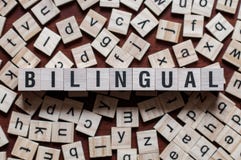 La parola della persona bilingue sul concetto delle particelle elementari immagine stock libera da diritti La parola della persona bilingue sul concetto delle particelle elementari immagine stock libera da diritti