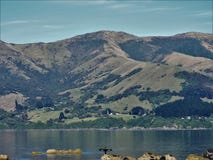 La pelusa manchada está pasando por alto la bahía fotografía de archivo libre de regalías La pelusa manchada está pasando por alto la bahía fotografía de archivo libre de regalías