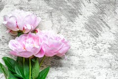 La peonía rosada florece el ramo en el fondo de madera blanco Endecha plana Visión superior con el espacio de la copia Fotografía de archivo libre de regalías La peonía rosada florece el ramo en el fondo de madera blanco Endecha plana Visión superior con el espacio de la copia Fotografía de archivo libre de regalías