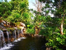 La pequeña cascada rodeada por una variedad de arbustos, que son Fotografía de archivo libre de regalías La pequeña cascada rodeada por una variedad de arbustos, que son Fotografía de archivo libre de regalías