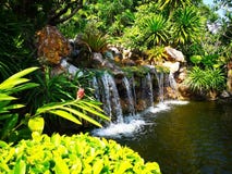 La pequeña cascada rodeada por una variedad de arbustos, que son Fotografía de archivo libre de regalías La pequeña cascada rodeada por una variedad de arbustos, que son Fotografía de archivo libre de regalías