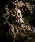La piedra parece un cráneo humano imágenes de archivo libres de regalías La piedra parece un cráneo humano imágenes de archivo libres de regalías