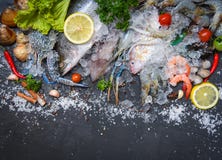 La placa de los mariscos con las gambas de los camarones de los crustáceos critica despiadadamente la cena gastrónoma del océano fotografía de archivo La placa de los mariscos con las gambas de los camarones de los crustáceos critica despiadadamente la cena gastrónoma del océano fotografía de archivo