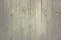 La plancia di legno dipinta grey verde può essere usata come fondo Fondo di legno del pulcino rustico e misero Modello di legno i Immagini Stock La plancia di legno dipinta grey verde può essere usata come fondo Fondo di legno del pulcino rustico e misero Modello di legno i Immagini Stock