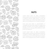La plantilla de la bandera de las nueces con el lugar para su texto, el alimento biológico sabroso y sano, las nueces y las semil libre illustration La plantilla de la bandera de las nueces con el lugar para su texto, el alimento biológico sabroso y sano, las nueces y las semil libre illustration