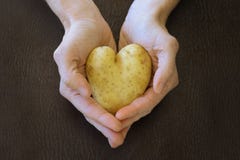 la pomme de terre de coeur a formé photo stock la pomme de terre de coeur a formé photo stock