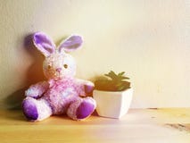 La poupée mignonne de lapin avec le fond en bois et l'espace copient image libre de droits La poupée mignonne de lapin avec le fond en bois et l'espace copient image libre de droits