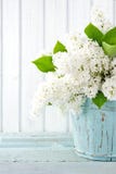 La primavera blanca de la lila florece en un florero azul La primavera blanca de la lila florece en un florero azul