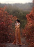 La princesa en un vestido amarillo del vintage en el renacimiento está caminando a lo largo de las colinas pintorescas del otoño imagen de archivo La princesa en un vestido amarillo del vintage en el renacimiento está caminando a lo largo de las colinas pintorescas del otoño imagen de archivo