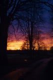 La route en décembre photographie stock La route en décembre photographie stock