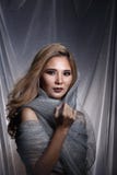 La señora en fondo de la estrella con cubre la tela de plata gris ha del brillo imagen de archivo libre de regalías La señora en fondo de la estrella con cubre la tela de plata gris ha del brillo imagen de archivo libre de regalías