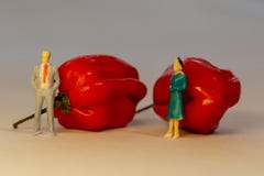 La situación miniatura del hombre y de la mujer de la gente delante de la pimienta candente del habanero Concepto del conflicto d foto de archivo libre de regalías La situación miniatura del hombre y de la mujer de la gente delante de la pimienta candente del habanero Concepto del conflicto d foto de archivo libre de regalías