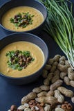 La soupe cr?me ? potiron avec des herbes et des ?crous, a servi dans une cuvette fonc?e Nourriture appropri?e et saine Plat v?g?t images stock La soupe cr?me ? potiron avec des herbes et des ?crous, a servi dans une cuvette fonc?e Nourriture appropri?e et saine Plat v?g?t images stock