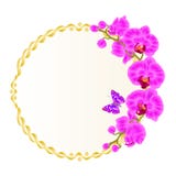 La struttura dorata rotonda di vettore floreale con la porpora delle orchidee fiorisce la phalaenopsis delle piante tropicali e l royalty illustrazione gratis La struttura dorata rotonda di vettore floreale con la porpora delle orchidee fiorisce la phalaenopsis delle piante tropicali e l royalty illustrazione gratis