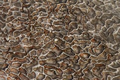 La texture de la formation abstraite de la pierre minérale, traverten photos stock La texture de la formation abstraite de la pierre minérale, traverten photos stock