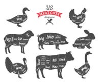 La viande américaine de (US) coupe des diagrammes