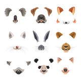 La video chiacchierata effettua i modelli piani delle icone dei fronti dell'animale del cane, il coniglio, gatto illustrazione vettoriale La video chiacchierata effettua i modelli piani delle icone dei fronti dell'animale del cane, il coniglio, gatto illustrazione vettoriale