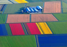 La vue aérienne rare de la tulipe colorée met en place en Hollande, Pays-Bas images libres de droits La vue aérienne rare de la tulipe colorée met en place en Hollande, Pays-Bas images libres de droits
