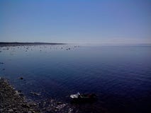La zona costiera del mar Bianco al beluga del capo, la vista dalla torre per controllare blagami, isole di Solovetsky, Arcangelo immagini stock La zona costiera del mar Bianco al beluga del capo, la vista dalla torre per controllare blagami, isole di Solovetsky, Arcangelo immagini stock