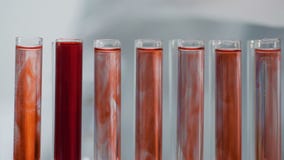 Lab asystent pracuje z próbnymi tubkami, egzamininuje próbki krwi w laboratorium zbiory wideo Lab asystent pracuje z próbnymi tubkami, egzamininuje próbki krwi w laboratorium zbiory wideo