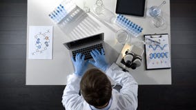Lab worker viewing samples under microscope and typing results on laptop topview stock images Lab worker viewing samples under microscope and typing results on laptop topview stock images