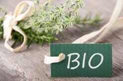 Label vert avec BIO photographie stock libre de droits Label vert avec BIO photographie stock libre de droits