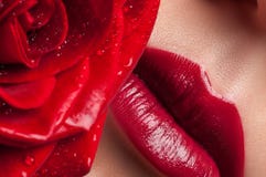 Labios rojos en un fondo de rosas enormes Labios y primer de la flor Fotografía de archivo Labios rojos en un fondo de rosas enormes Labios y primer de la flor Fotografía de archivo