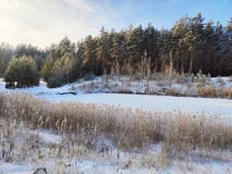 Lac winter dans la for?t image stock Lac winter dans la for?t image stock