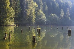 Lacul Rosu - Czerwony jezioro w lato ranku wsch?d s?o?ca Carpathians, Rumunia fotografia royalty free Lacul Rosu - Czerwony jezioro w lato ranku wsch?d s?o?ca Carpathians, Rumunia fotografia royalty free