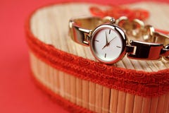 Ladies Classic Wristwatch Royalty Free Stock Image