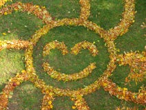 sun of leaves stock images sun of leaves stock images
