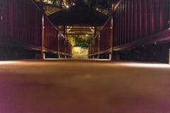 Lage hoekmening van kleine wegbruid bij nacht royalty-vrije stock fotografie Lage hoekmening van kleine wegbruid bij nacht royalty-vrije stock fotografie