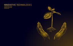Lage polyhanden die gouden boomspruit houden Van het de besparingsgeld van de rijkdomwelvaart groeiende het inkomenswinst Kweek e royalty-vrije illustratie Lage polyhanden die gouden boomspruit houden Van het de besparingsgeld van de rijkdomwelvaart groeiende het inkomenswinst Kweek e royalty-vrije illustratie