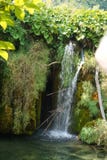 Laghi Croazia - bella cascata Plitvice del parco nazionale immagini stock Laghi Croazia - bella cascata Plitvice del parco nazionale immagini stock