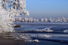 Canales Congelados En Holanda. Paisaje Holandés Del Invierno Foto