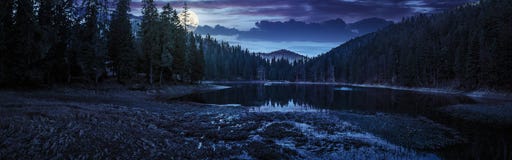 Lago cristallino vicino all'abetaia in montagne alla notte immagini stock libere da diritti Lago cristallino vicino all'abetaia in montagne alla notte immagini stock libere da diritti