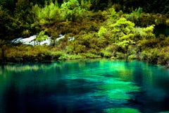 Lago e árvores no Vale Jiuzhaigou, Sichuan, China imagens de stock Lago e árvores no Vale Jiuzhaigou, Sichuan, China imagens de stock
