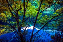 Lago ed alberi nella valle del Jiuzhaigou, Sichuan, Cina fotografia stock libera da diritti Lago ed alberi nella valle del Jiuzhaigou, Sichuan, Cina fotografia stock libera da diritti