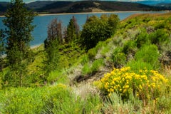 Lago Granby foto de stock royalty free Lago Granby foto de stock royalty free