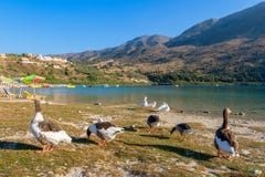 Lago Kournas. Creta, Grecia Fotografía de archivo Lago Kournas. Creta, Grecia Fotografía de archivo