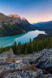 Lago Peyto no parque nacional de Banff, Alberta no nascer do sol foto de stock Lago Peyto no parque nacional de Banff, Alberta no nascer do sol foto de stock