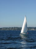 Lago Washington sailing imagens de stock Lago Washington sailing imagens de stock