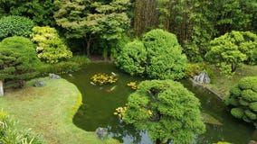 Lagoa japonesa do jardim de chá fotos de stock Lagoa japonesa do jardim de chá fotos de stock