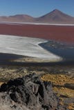 Laguna Colorada no boliviano Altiplano fotografia de stock royalty free Laguna Colorada no boliviano Altiplano fotografia de stock royalty free