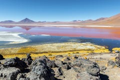 Laguna Colorada σε Uyuni, Βολιβία στοκ εικόνες Laguna Colorada σε Uyuni, Βολιβία στοκ εικόνες