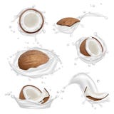 Lait de noix de coco Les ?crous d'usine fra?che tropicale et le yaourt aux fruits aromatiques ?clabousse la collection r?aliste d illustration stock Lait de noix de coco Les ?crous d'usine fra?che tropicale et le yaourt aux fruits aromatiques ?clabousse la collection r?aliste d illustration stock